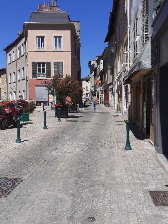 Trevoux: Loft Ravissant Avec Terrasse 아파트 외부 사진