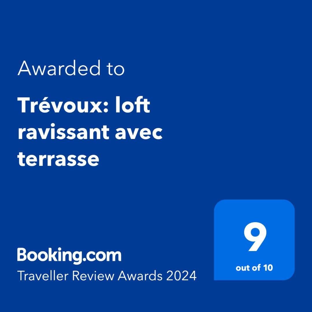 Trevoux: Loft Ravissant Avec Terrasse 아파트 외부 사진